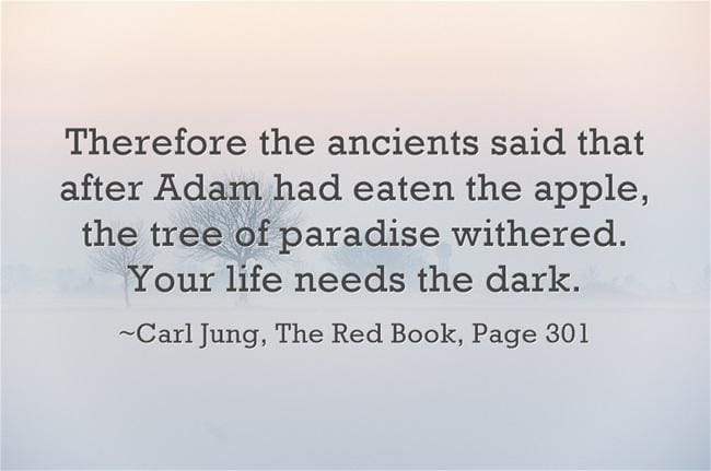 I am afraid of making a very paradoxical impression on you. 3 029 paradise