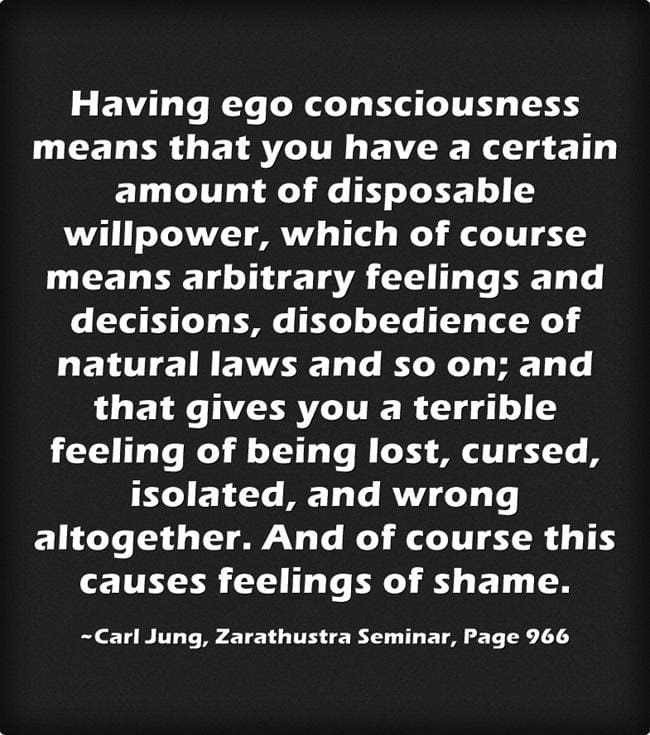 Mario Jacoby, Shame and the Origins of Self-Esteem 2 008 Shame