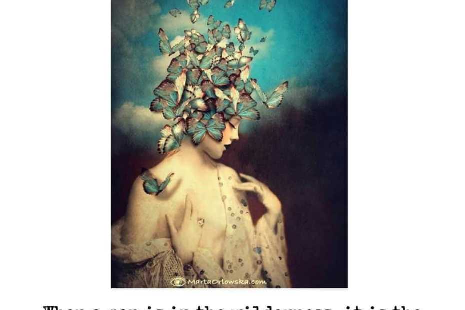 Carl Jung: I have followed the call of the wild 4 171 wilderness