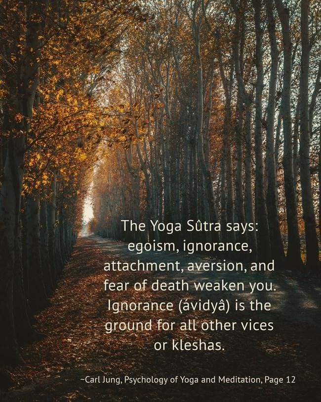 Carl Jung on Repression - Lexicon 3 014 Repressed