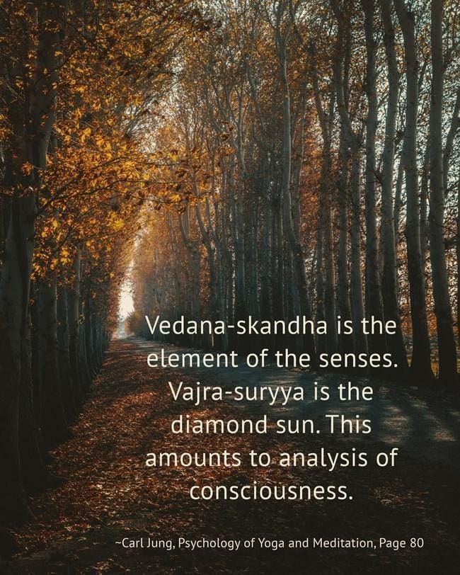 Sense and nonsense are merely man-made labels which serve to give us a reasonably valid sense of direction. 1 063 Senses