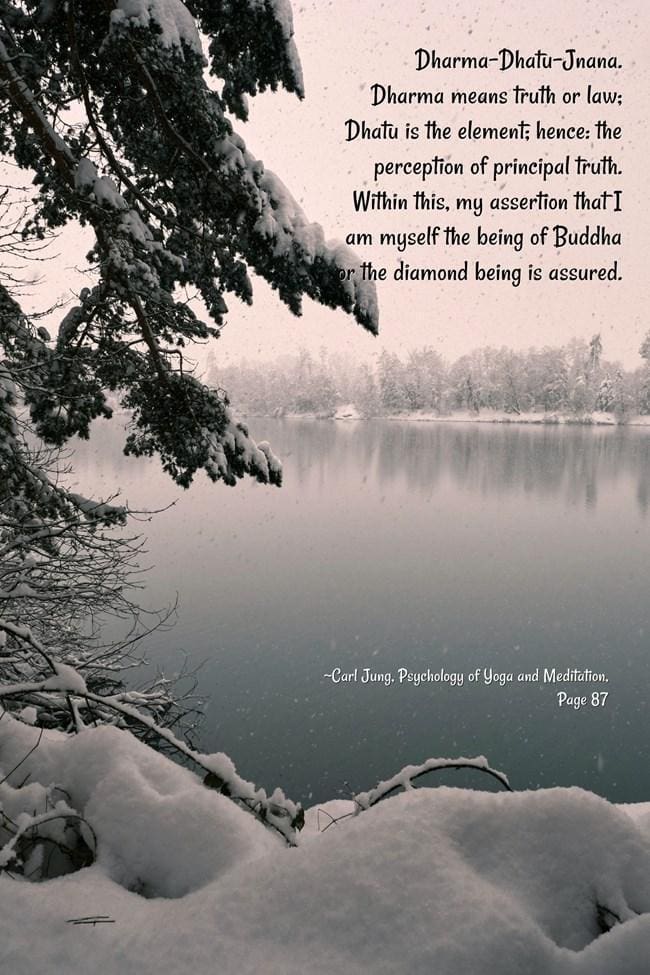 dharmakaya dharma birth