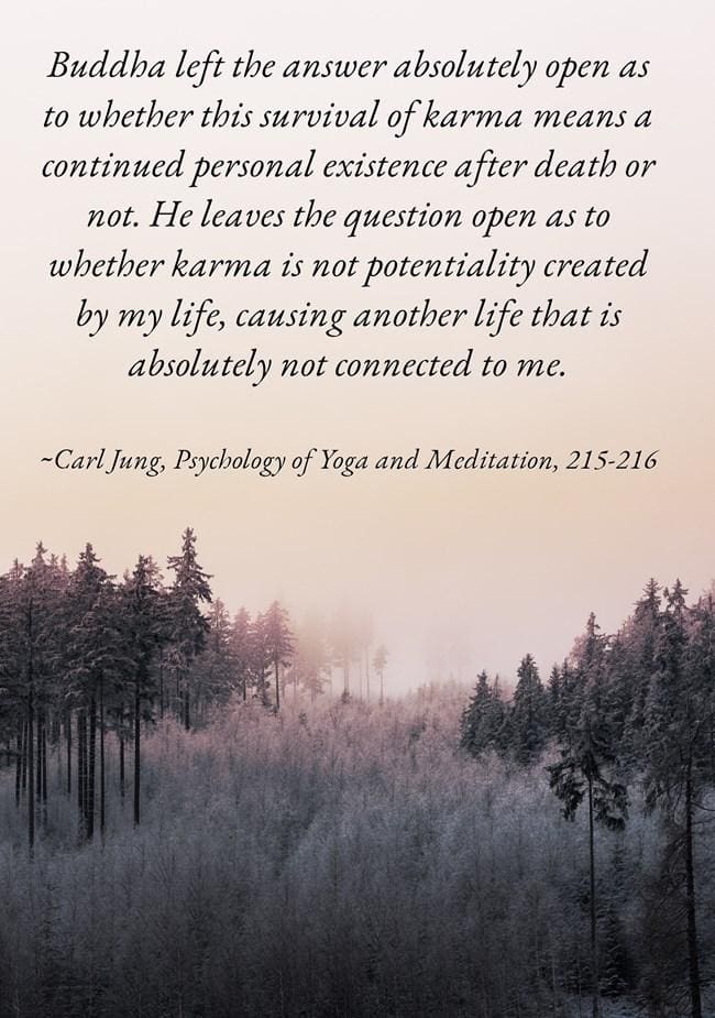 The Chonyid State is one of Karmic Illusion 3 288 karma death