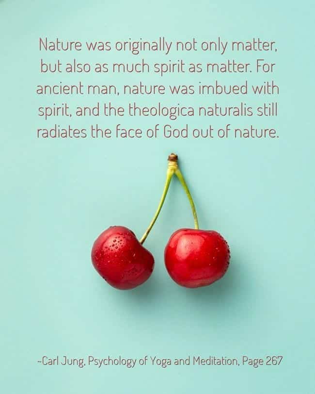 329 Nature