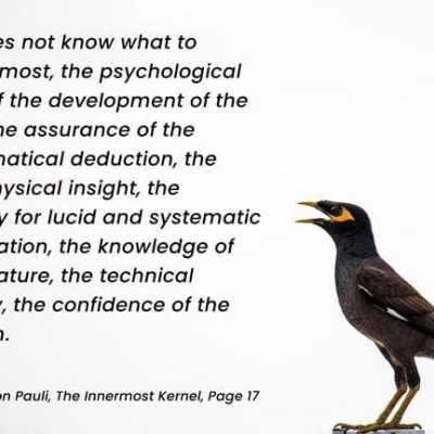 Carl Jung On Einstein Anthology