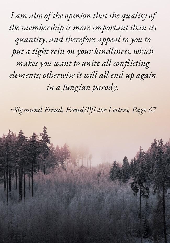 Carl Jung in Dialogue and Dispute 4 022 Elements