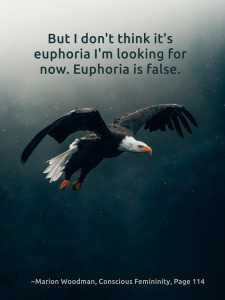 010 euphoria