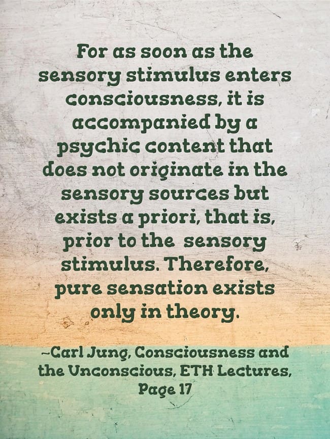 carl jung theory
