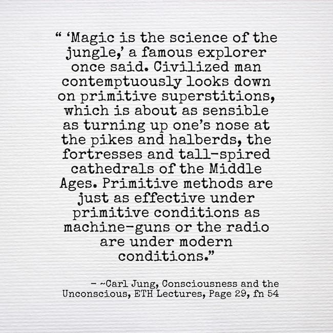 The jungle is in us, in our unconscious 3 056 Jungle