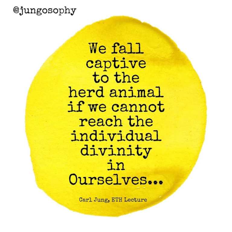 Metamorphosis in Animals: The Transformations of the Individual and the Tуpе 4 animal wild