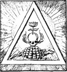 Dr. Jung was never caught by the picture of himself as an important man. 1 Picture4