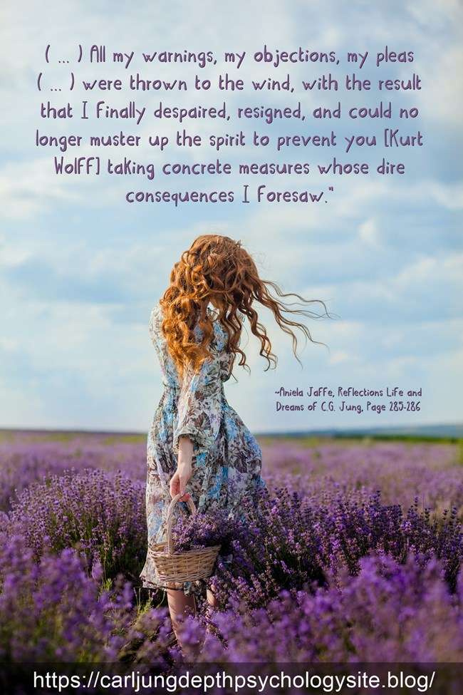 378 aniela pleas quotations