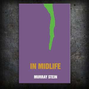 stein in midlife 300x300 1