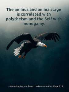 animus polytheism self monogamy
