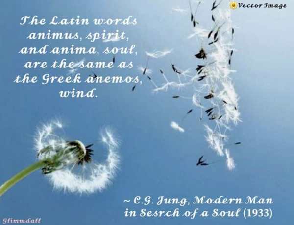 Negotiations with the Animus 5 anima