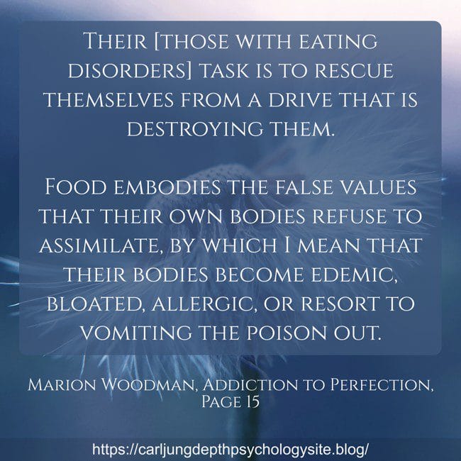 body addiction perfection